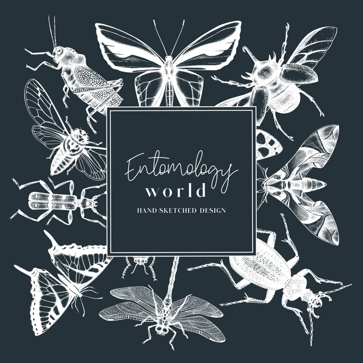 Hand-sketched insect wreath template. Hand drawn beetles, bugs, butterflies, dragonfly, cicada, moths, bee illustrations in vintage style. Entomological frame vector design.